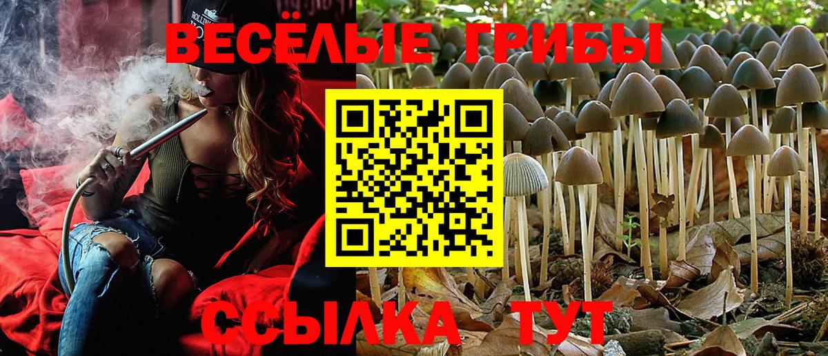 Псилоцибиновые грибы Psilocybine cubensis Гагарин