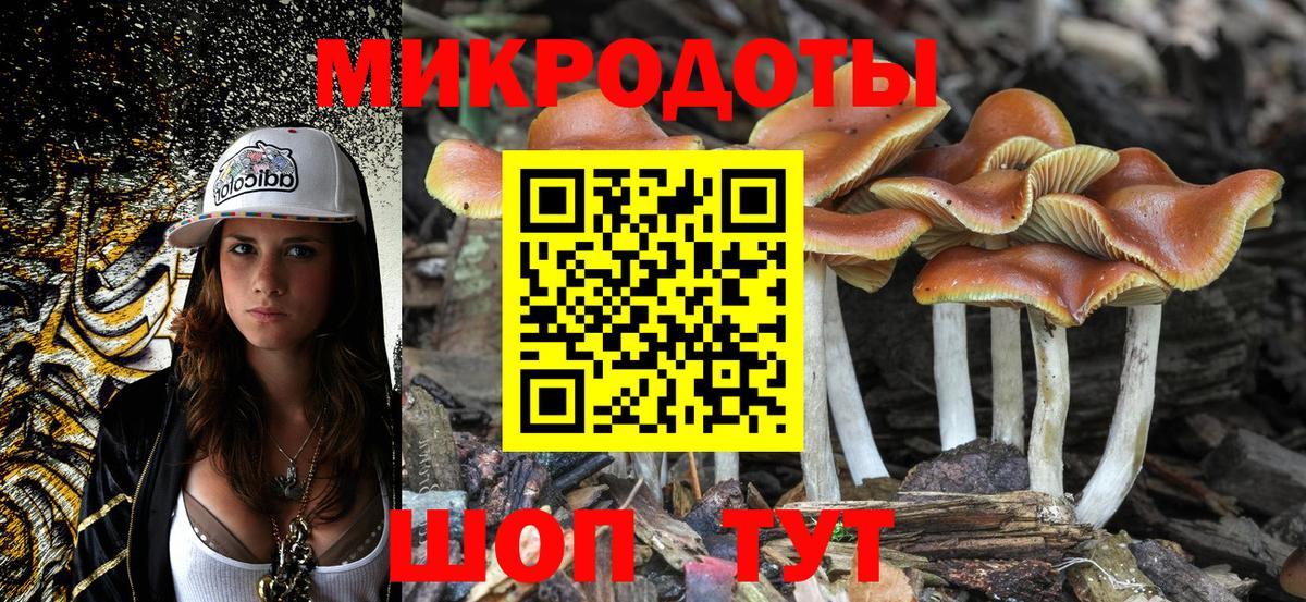 Псилоцибиновые грибы MAGIC MUSHROOMS  Вход с VPN  Гагарин 